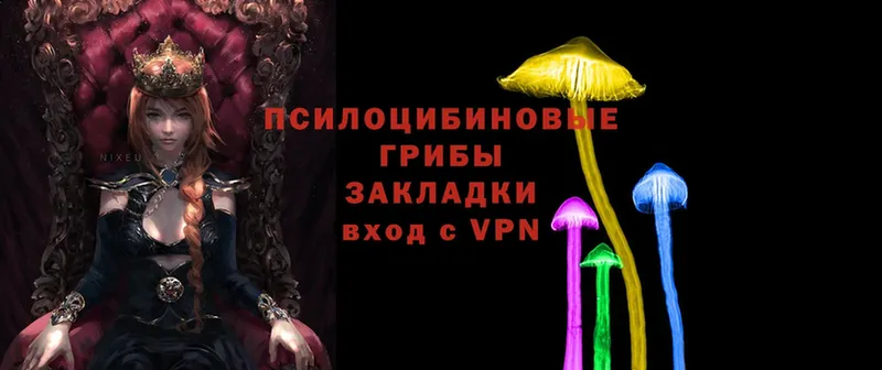 Галлюциногенные грибы MAGIC MUSHROOMS  где найти   Каменногорск 